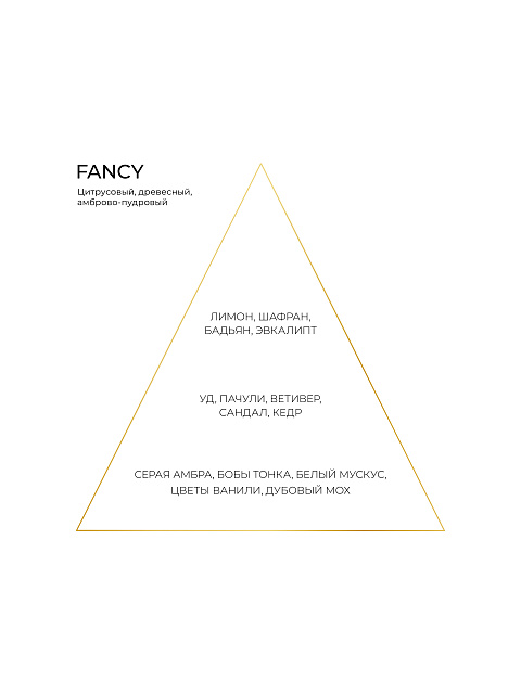 Fragrance FANCY 100 ml, 2