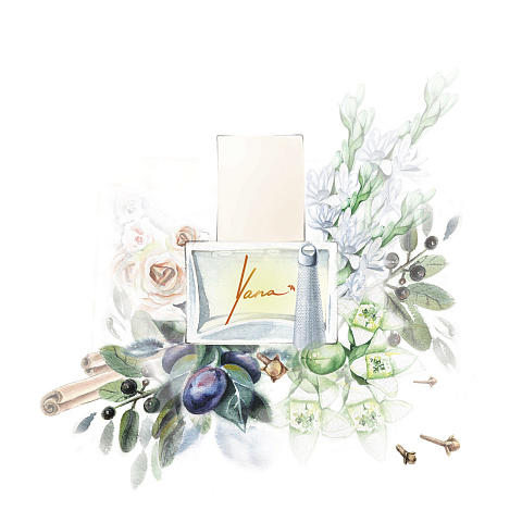 Fragrance VIVID 100 ml, 4