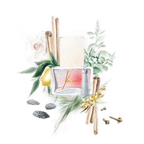 Fragrance PIGEON'S BLOOD 100 ml, 4