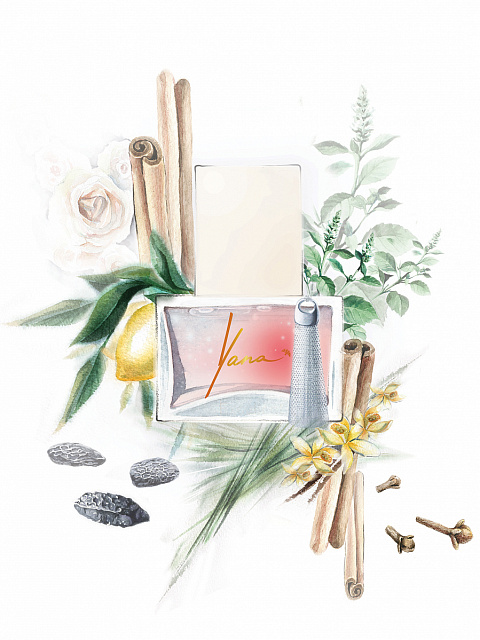 Fragrance PIGEON'S BLOOD 15 ml, 6