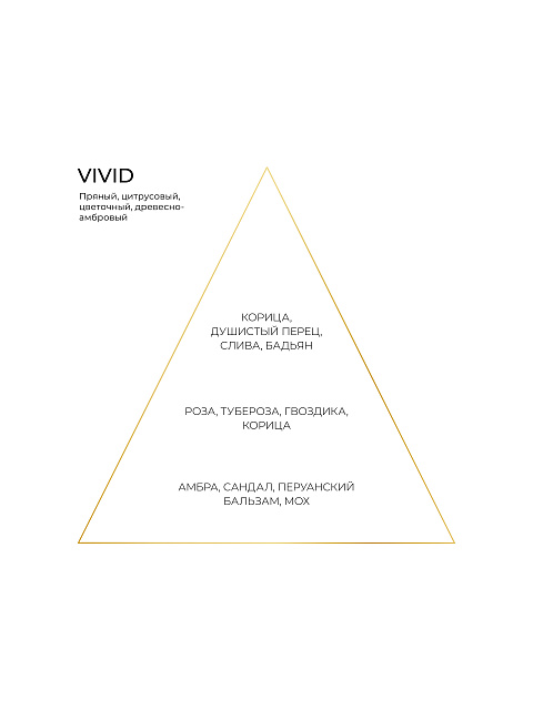 Fragrance VIVID 100 ml, 2