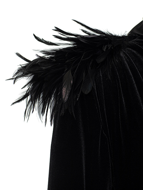 Black velvet dress with feathers, 6 Black velvet dress with feathers, 6