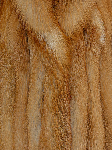 Fox fur coat, 6