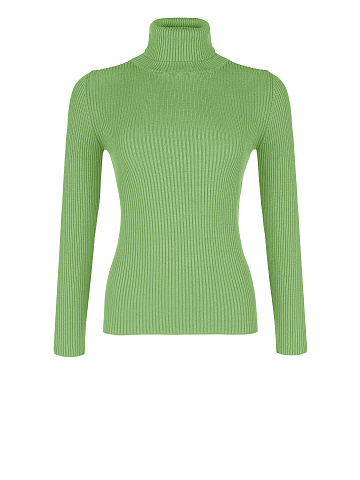 Green ribbed knit turtleneck, 1