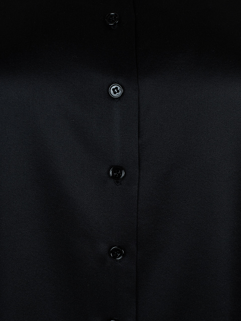 Black Silk Shirt, 3
