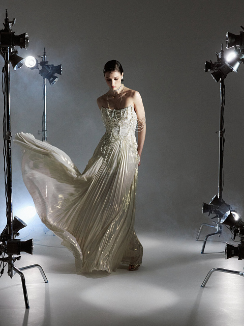 Gold Chiffon Maxi Dress With Embroidery, 5 Gold Chiffon Maxi Dress With Embroidery, 5