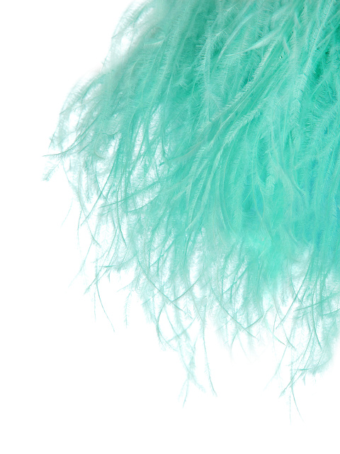 Turquoise Feather Trimmed Bra, 5 Turquoise Feather Trimmed Bra, 5