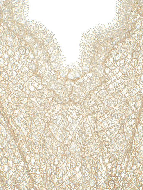 Beige Lace Cropped Blouse, 3