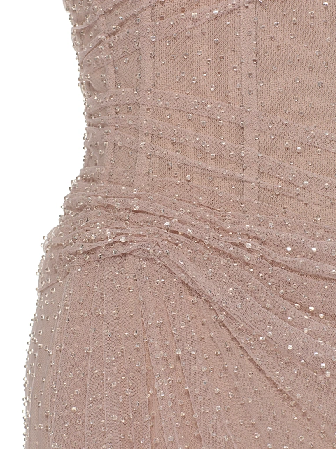 Pale Pink Rhinestones & Feathers Mesh Maxi Dress, 4 Pale Pink Rhinestones & Feathers Mesh Maxi Dress, 4
