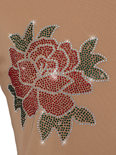 Beige Rhinestones Rose Mesh Longsleeve, 4 Beige Rhinestones Rose Mesh Longsleeve, 4