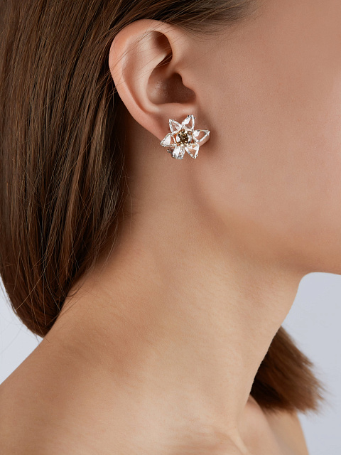 Brown Diamond, Rose Cut Diamond & White Gold Earrings, 3