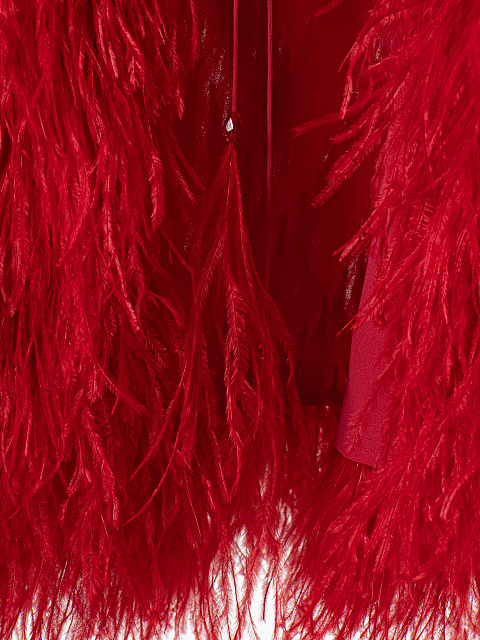 Red feather jacket, 3