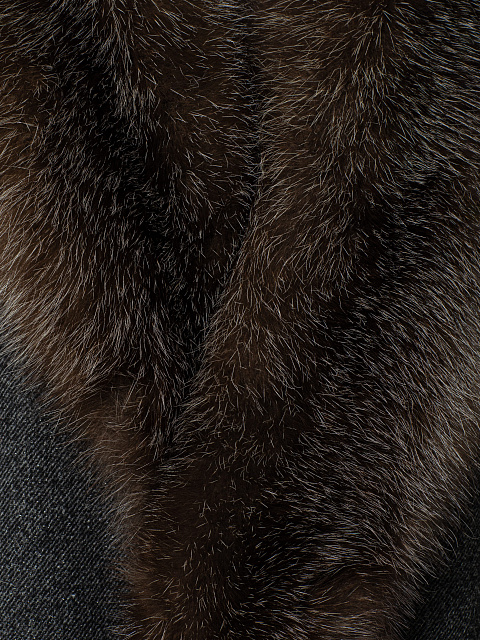 Short coat with fur collar, 5