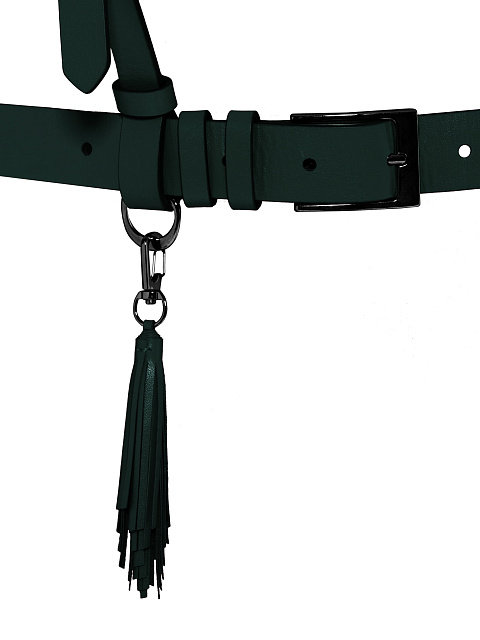 Dark green leather harness, 3 Dark green leather harness, 3