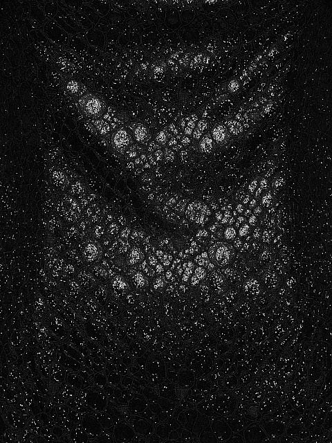 Metallic Black Snakeskin Mini Dress, 3 Metallic Black Snakeskin Mini Dress, 3
