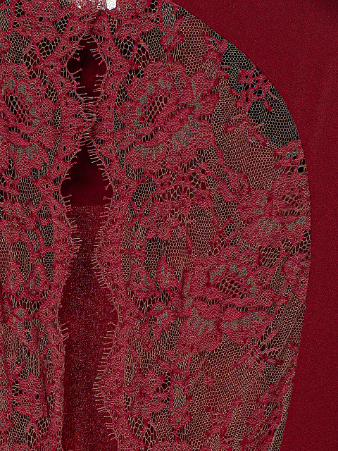 Red Lace & Rhinestones Maxi Dress, 5 Red Lace & Rhinestones Maxi Dress, 5