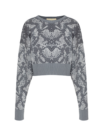 Gray Cropped Jumper With Snake Print, 1