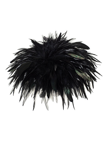 Black Feather Hat, 2