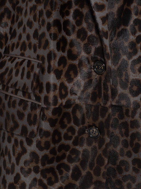 Blue and brown leopard jacket, 3 Blue and brown leopard jacket, 3