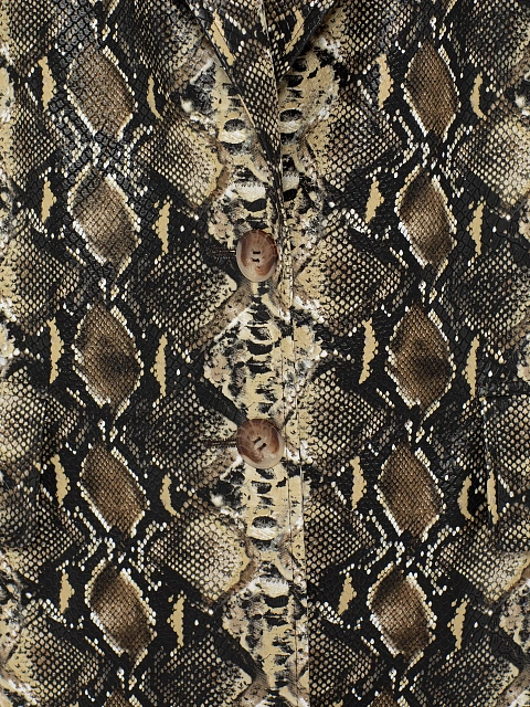 Beige Snakeskin Prined Faux Leather Jacket, 4 Beige Snakeskin Prined Faux Leather Jacket, 4