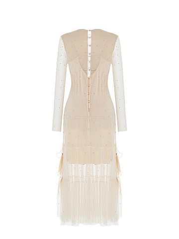 Beige Crystal Mesh Midi Dress, 2