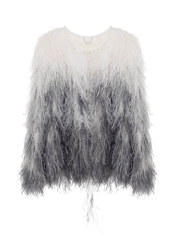 Grey Cropped Feather Jacket In Degrade Technique With Crystals, 1