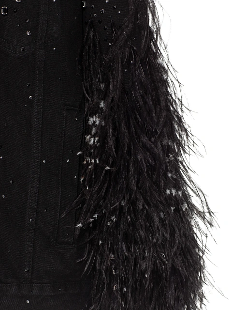 Black Feathers & Rhinestones Denim Jacket, 4