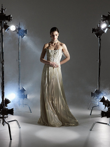 Gold Chiffon Maxi Dress With Embroidery, 2