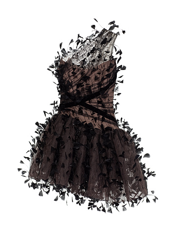 Black Feather Mesh Mini Dress, 1