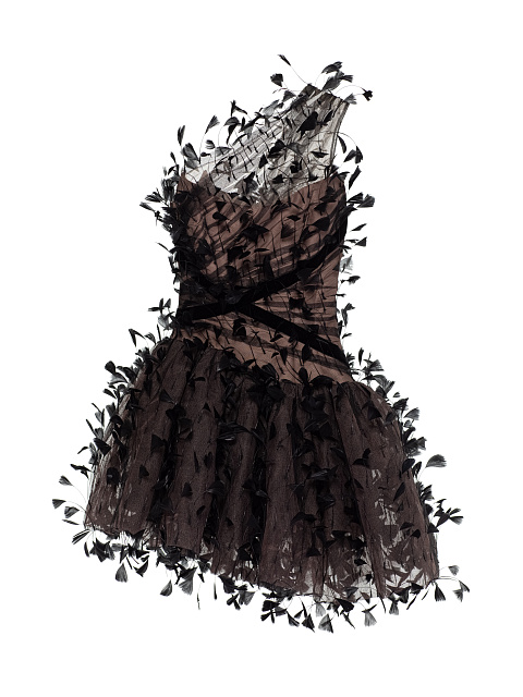 Black Feather Mesh Mini Dress, 1 Black Feather Mesh Mini Dress, 1