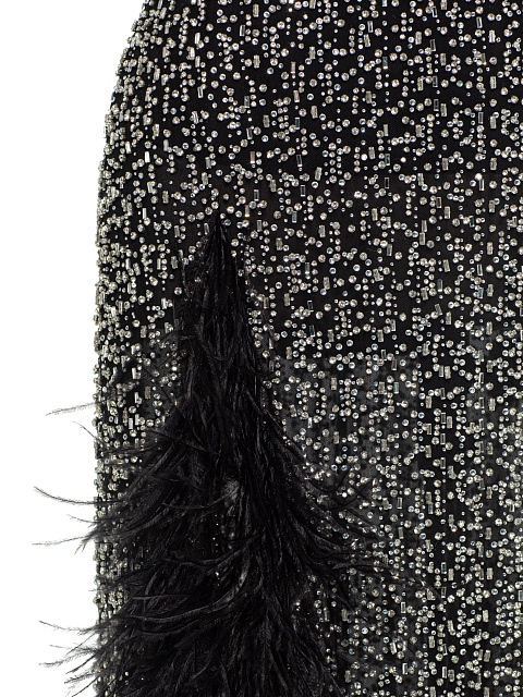 Black Mesh Maxi Dress With Feathers And Crystals, 4 Black Mesh Maxi Dress With Feathers And Crystals, 4