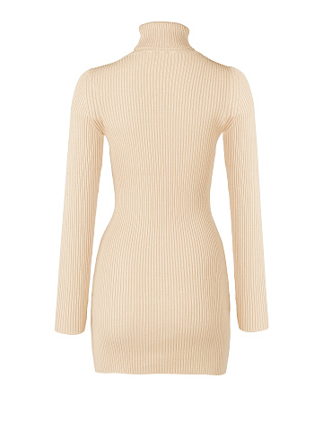 Beige Green Rib Knit Turtleneck Mini Dress, 2