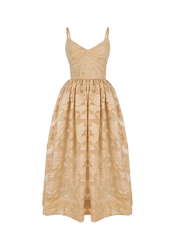 Beige Organza Midi Dress, 1