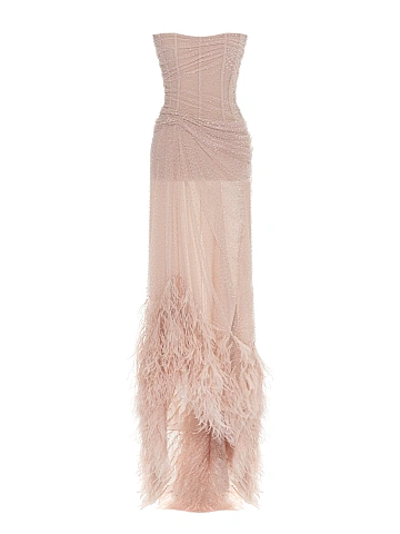 Pale Pink Rhinestones & Feathers Mesh Maxi Dress, 1