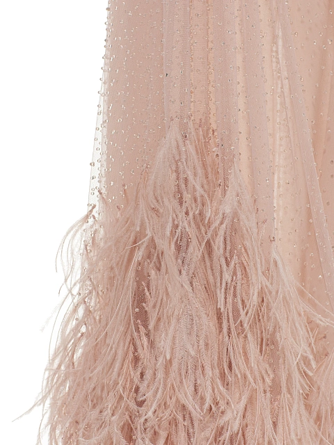Pale Pink Rhinestones & Feathers Mesh Maxi Dress, 5 Pale Pink Rhinestones & Feathers Mesh Maxi Dress, 5