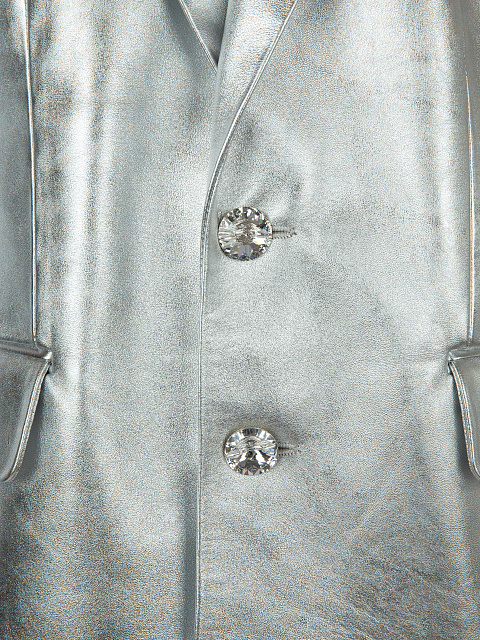 Silver Leather Jacket, 3