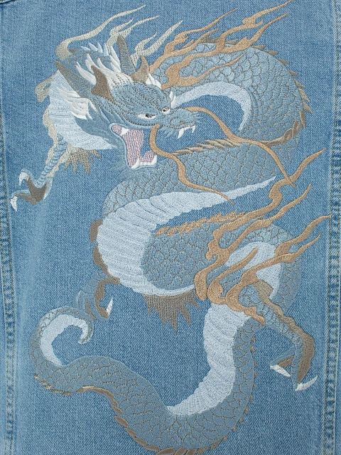 Light Blue Embroidered Denim Jacket, 5 Light Blue Embroidered Denim Jacket, 5