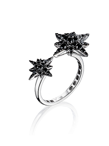 Black Gold & Black Diamond & Star Ring, 1