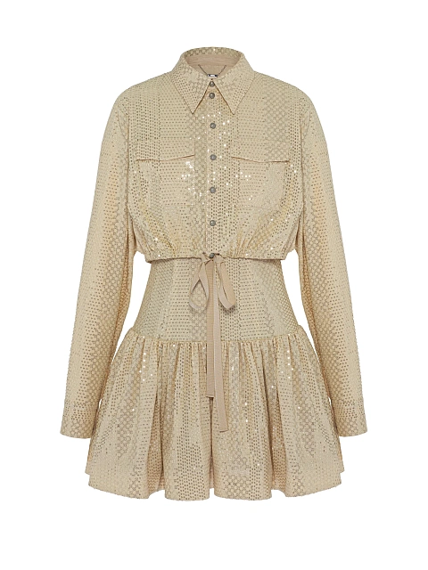 Golden Sequin Shirt & Mini Dress Set, 4 Golden Sequin Shirt & Mini Dress Set, 4