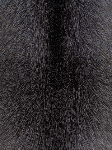 Fox fur scarf, 2