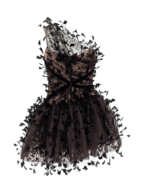 Black Feather Mesh Mini Dress, 3 Black Feather Mesh Mini Dress, 3