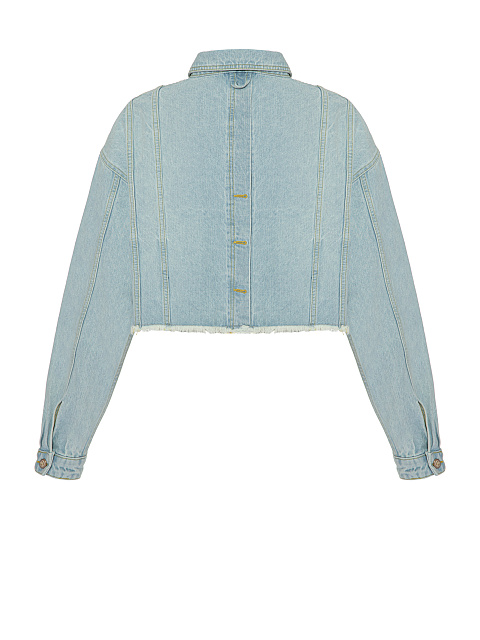 Blue Denim Cropped Jacket, 2