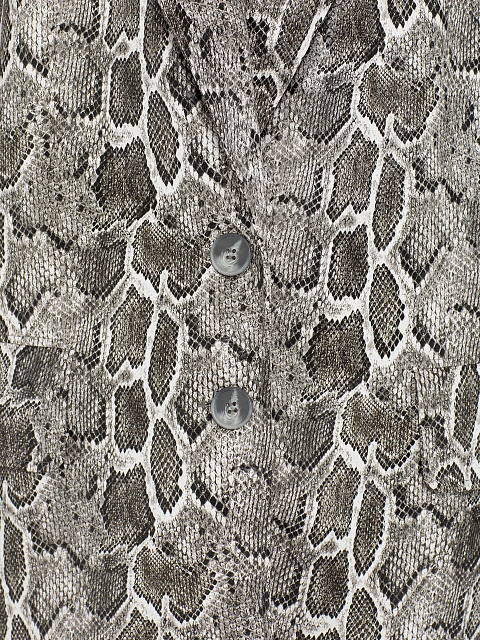 Grey Snakeskin Prined Faux Leather Jacket, 5 Grey Snakeskin Prined Faux Leather Jacket, 5