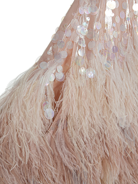 Chiffon cape with feathers, 4