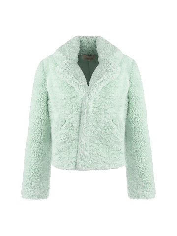 Mint Cropped Faux Fur Coat, 1