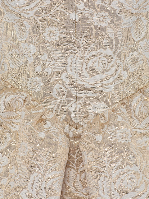 Beige & Gold Roses Brocade Mini Dress, 3 Beige & Gold Roses Brocade Mini Dress, 3