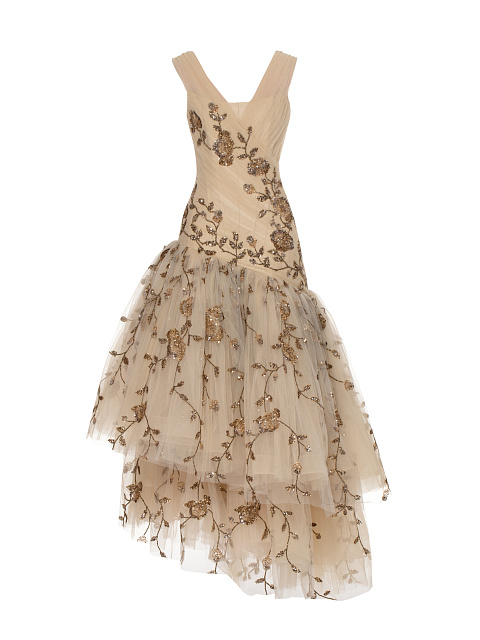Beige Asymmetric Embroidered Mesh Maxi Dress, 1 Beige Asymmetric Embroidered Mesh Maxi Dress, 1