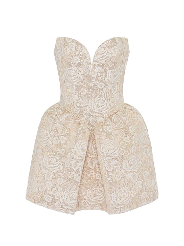 Beige & Gold Roses Brocade Mini Dress, 1