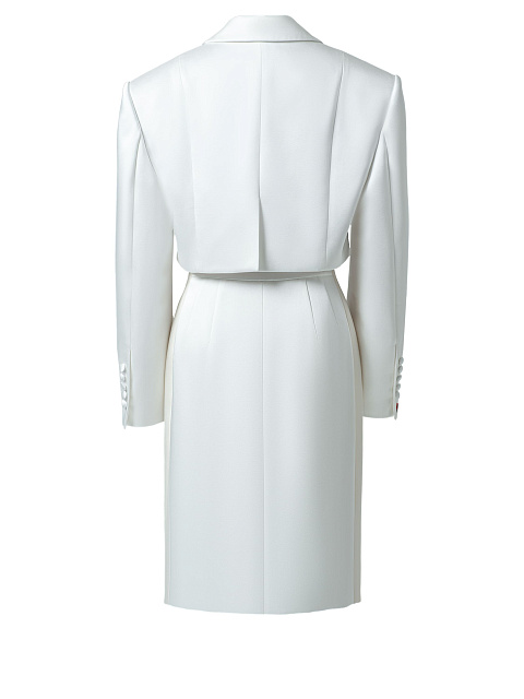 Duchesse and brocade suit., 2