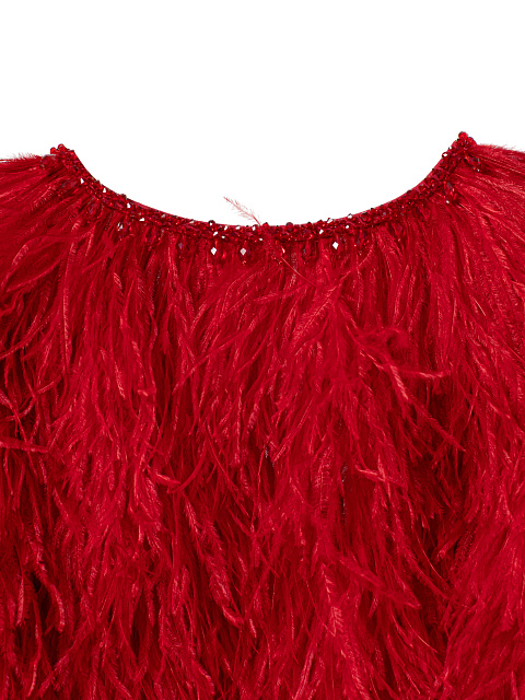 Red feather jacket, 4